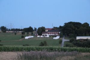 IMG_8304
