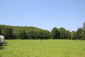 IMG_6368_copy_1407x938