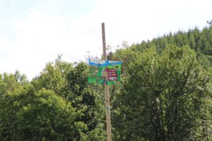 IMG_7401_copy_1395x930