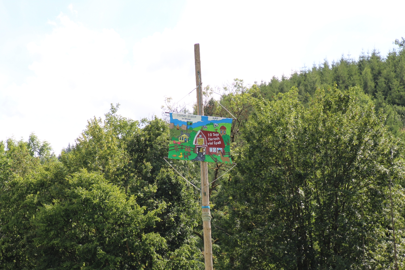 IMG_7401_copy_1395x930