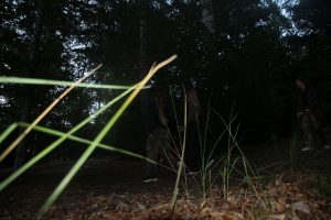 IMG_8603